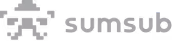 Sumsub monochrome logo