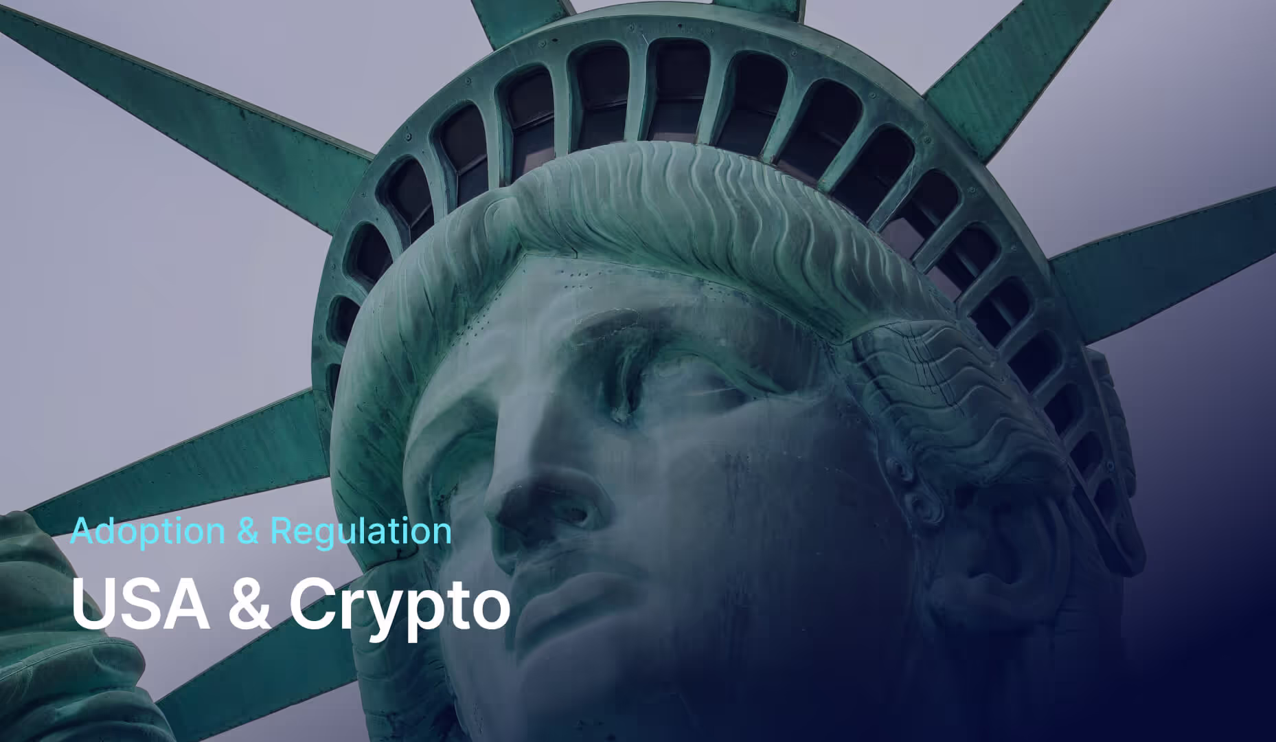US State of liberty with Crypto adoption text